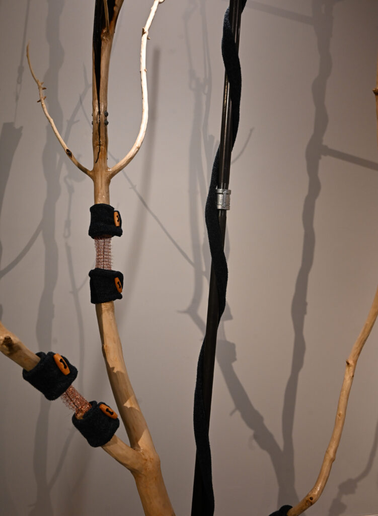 Dylan Brenneis, Development As Dance, 2026, Wood, electronic components