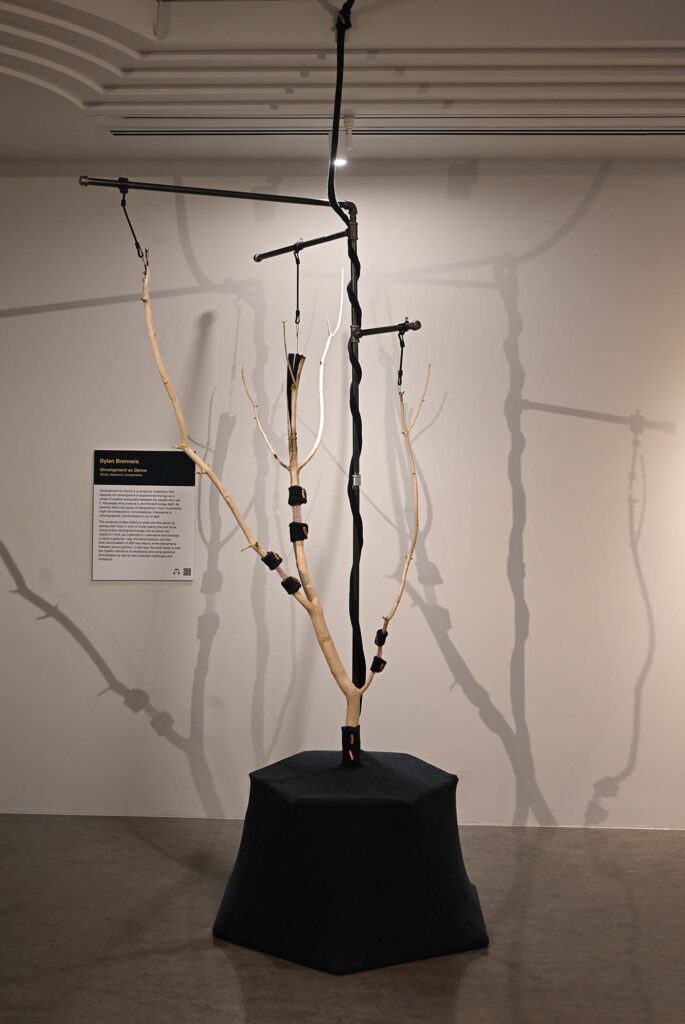 Artist: Dylan Brenneis Title: Development As Dance Medium: Wood, electronic components